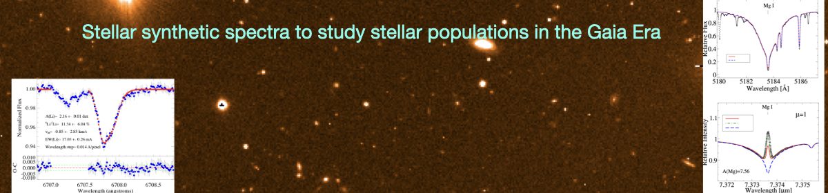 IAU Focus Meeting "Stellar synthetic spectra to study stellar populations in the Gaia Era"